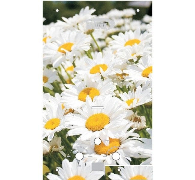 Matrix JSD-20 (Ромашки)